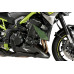 Hasidom, Puig KAWASAKI Z900 (2017-) Hasidom, Puig KAWASAKI Z900 (2017-)