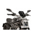 Naked New Generation plexi X Diavel (2016-2017) Naked New Generation plexi X Diavel (2016-2017)