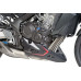 Hasidom, Puig KAWASAKI Z650 (2017-)